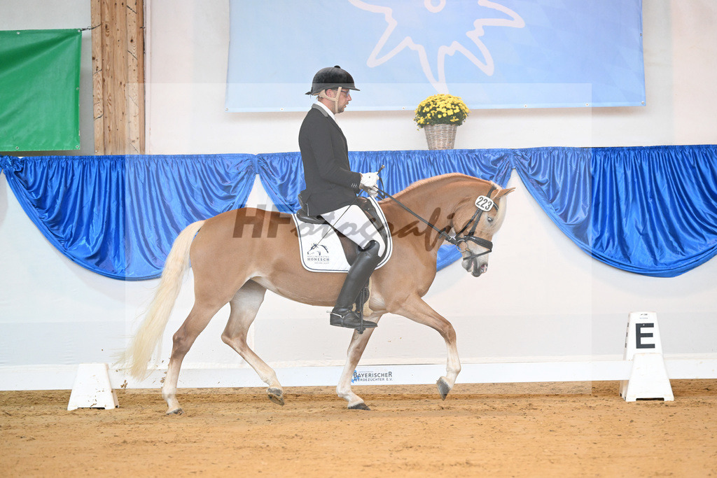 Kat-Nr. 223 Lizt van de Honesch_ZG Slot_54221623 | hf-fotografie - Realizzato con Pictrs.com