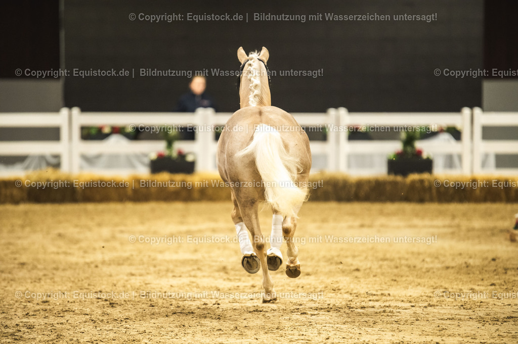 20240302_Hengstvorstellung_Marbach_TOMsPiC_0816 | equistock
