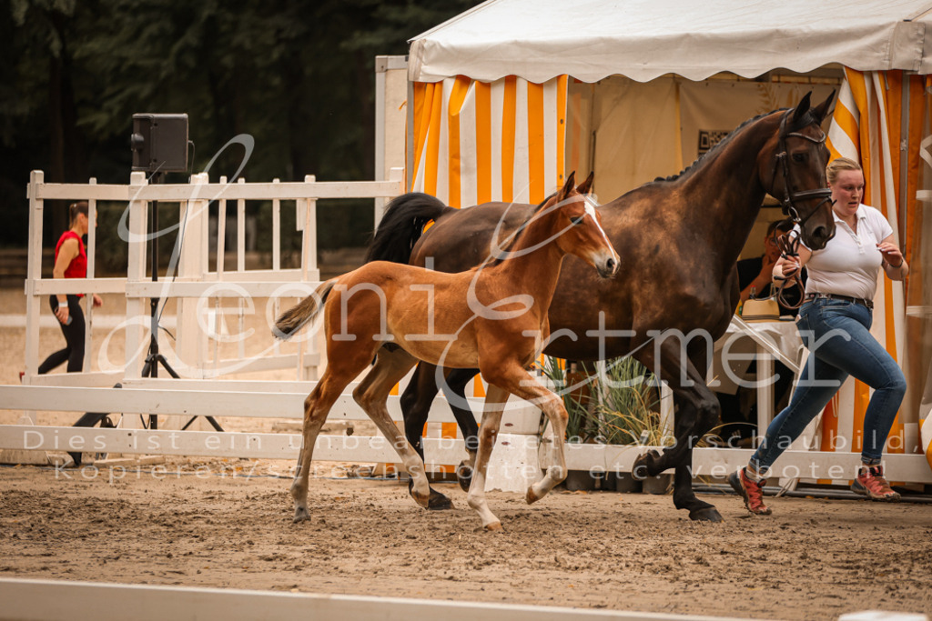 SaPA00237 | Leoni Ertmer Photography - Realisiert mit Pictrs.com