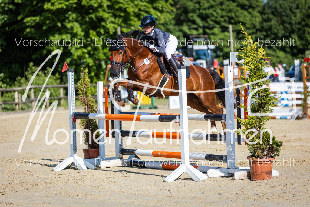 Donop24-ASpr-063 | MomenTaufnahmen Pferdesportfotos