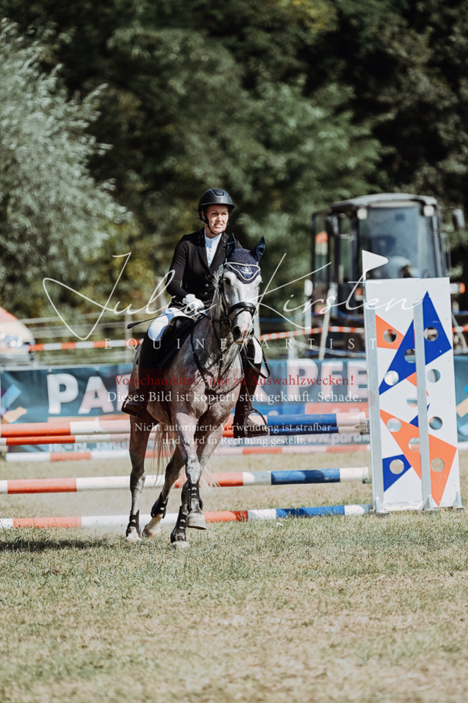 DSC_9478 | Pferde- und Turnierfotografie in Westsachsen. Pferdeportraits, Auftragszeichnungen und intuitive Kunst.