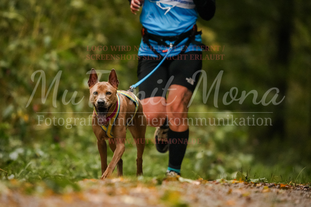 20251005_THS_Turnier-175 | MuT (Mensch und Tier) mit Mona - Fotografie und Tierkommunikation - Realisiert mit Pictrs.com