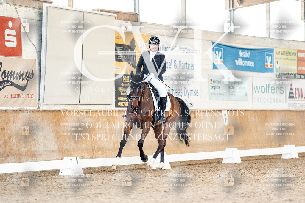CK909382 | Turnierfotografie Pferdefotografie Trier Rheinland-Pfalz Pferdesport Reitsport Tierfotografie Sportfotografie Pferdevideo Pferdevideografie Equestrianvideography equestrianphotography  - Realisiert mit Pictrs.com