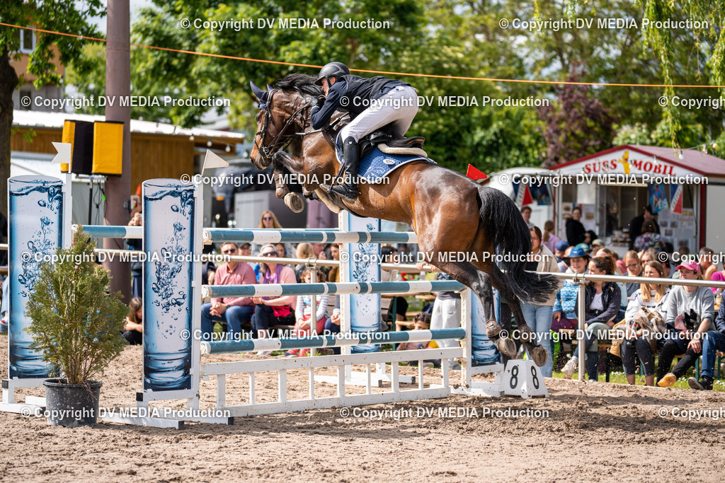 Eppelheim Tag 3-301 | dv-media-shop - Realisiert mit Pictrs.com