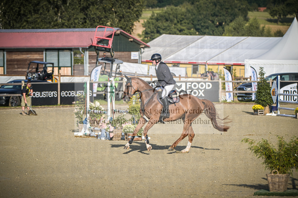 DOS_7488 | Entdecke hochwertige Reitturnierfotos von Foto Oger. Professionell, emotional und authentisch – jetzt Lieblingsmomente im Shop bestellen.Deutschlandweite Turnierfotografie. - Realisiert mit Pictrs.com