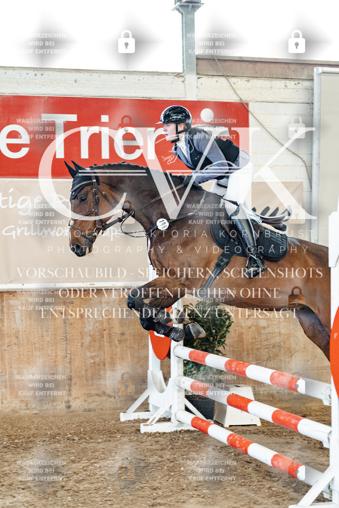 CK904632 | Turnierfotografie Pferdefotografie Trier Rheinland-Pfalz Pferdesport Reitsport Tierfotografie Sportfotografie Pferdevideo Pferdevideografie Equestrianvideography equestrianphotography  - Realisiert mit Pictrs.com
