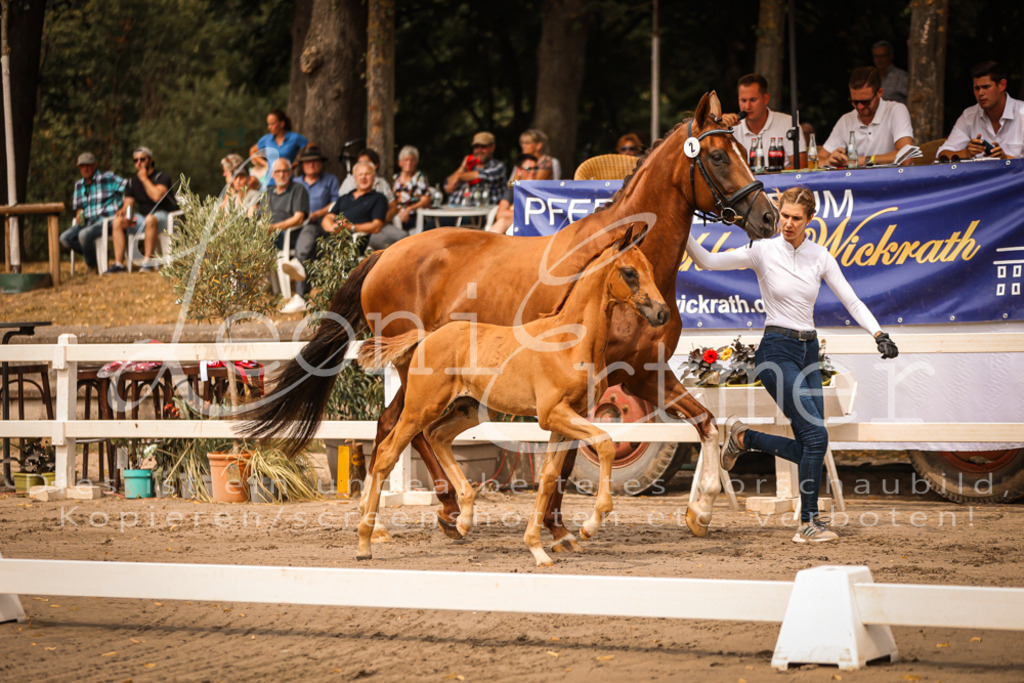 SaPA00036 | Leoni Ertmer Photography - Realisiert mit Pictrs.com