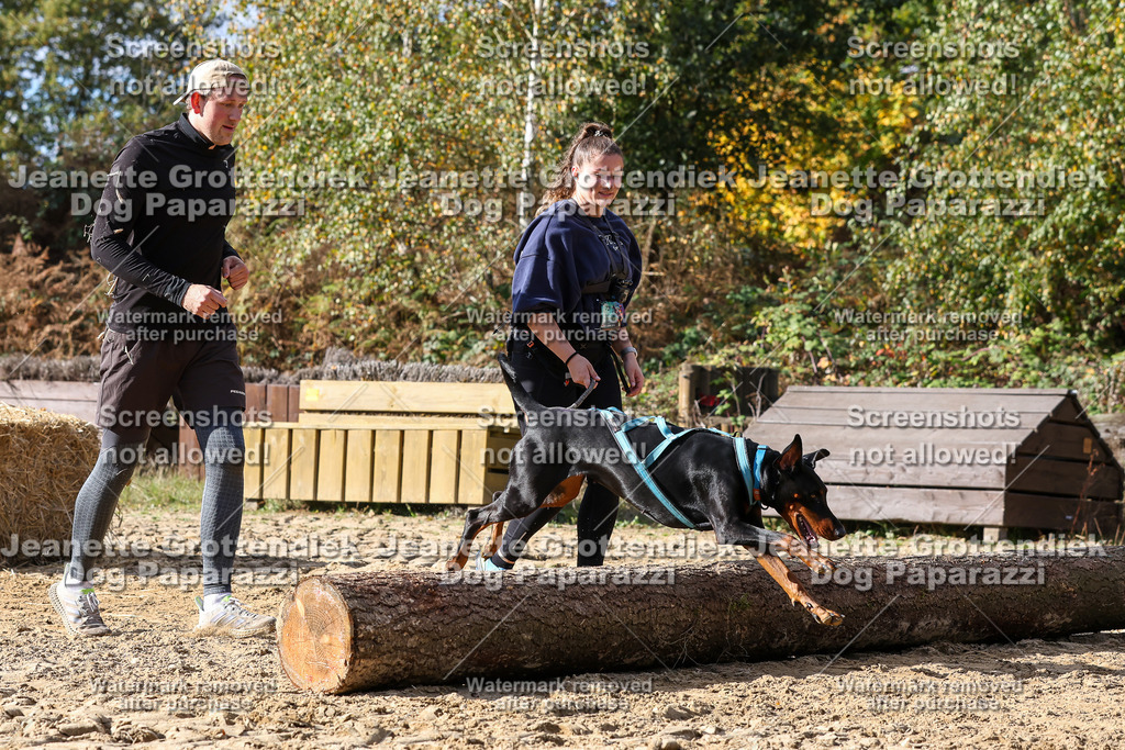 Dog Paparazzi - Strongdog 10-25-5241 | Dog Paparazzi Jeanette Grottendiek Fotografie & Videografie - Realisiert mit Pictrs.com