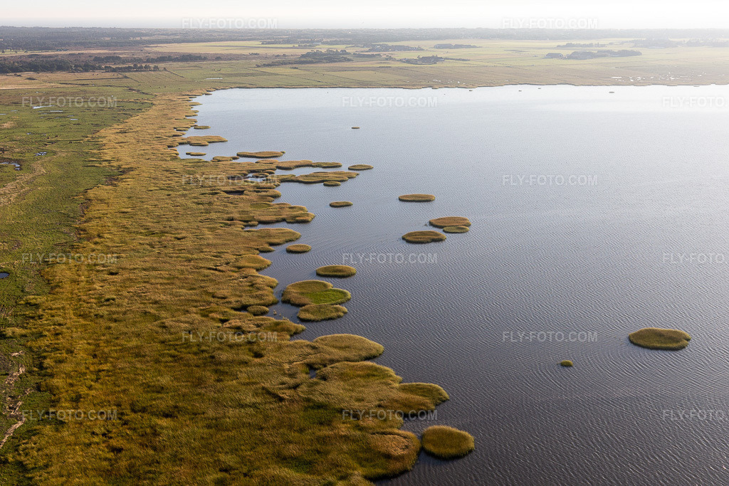 Aerial view: Wadden Sea National Park in Fanø in the state South Denmark, Denmark.Photo: IMG_118843.jpg taken on 09/21/2019 by Werner Riehm/FLY-FOTO.comResolution of the original: 5472 x 3648 px