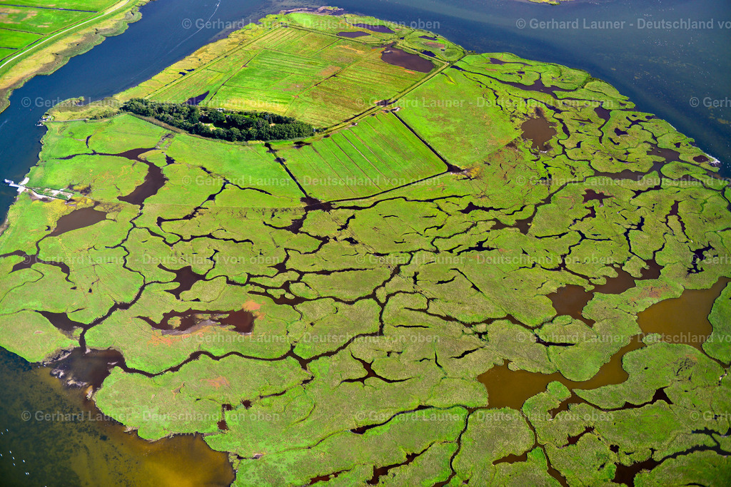 3638178 | Nationalpark Vorpommersche Boddenlandschaft, Insel Große Kirr, ZINGST 25.08.2016 Salzgrasland und Vogelschutz- Gebiet in Zingst an der Ostseeküste im Bundesland Mecklenburg-Vorpommern, Deutschland.