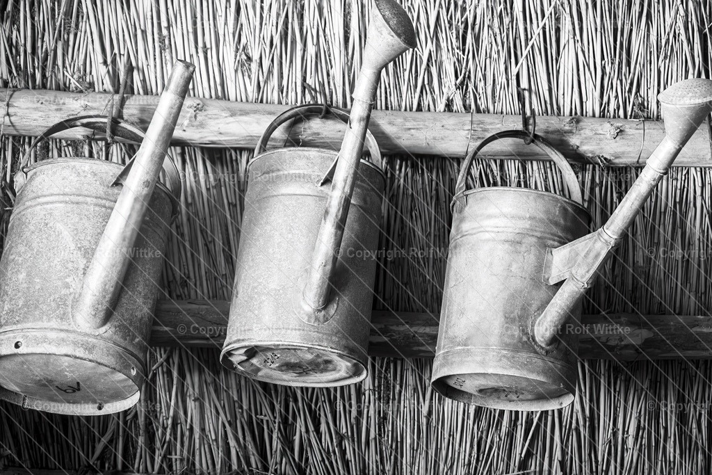 Gießkanne2 | Rolf Wittke  - Realisiert mit Pictrs.com