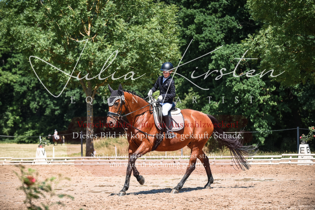 DSC_2971 | Pferde- und Turnierfotografie in Westsachsen. Pferdeportraits, Auftragszeichnungen und intuitive Kunst.