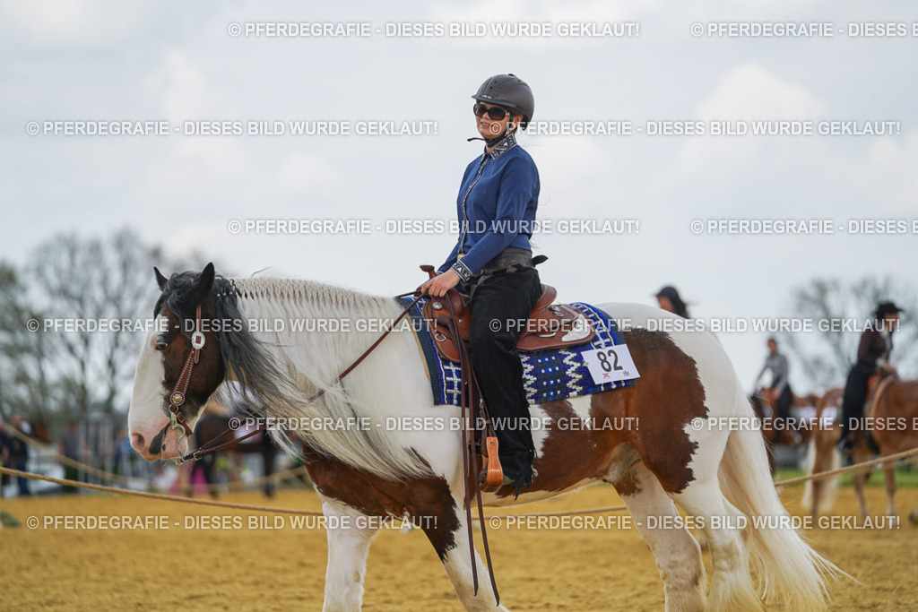 DSC06051 | Pferdegrafie