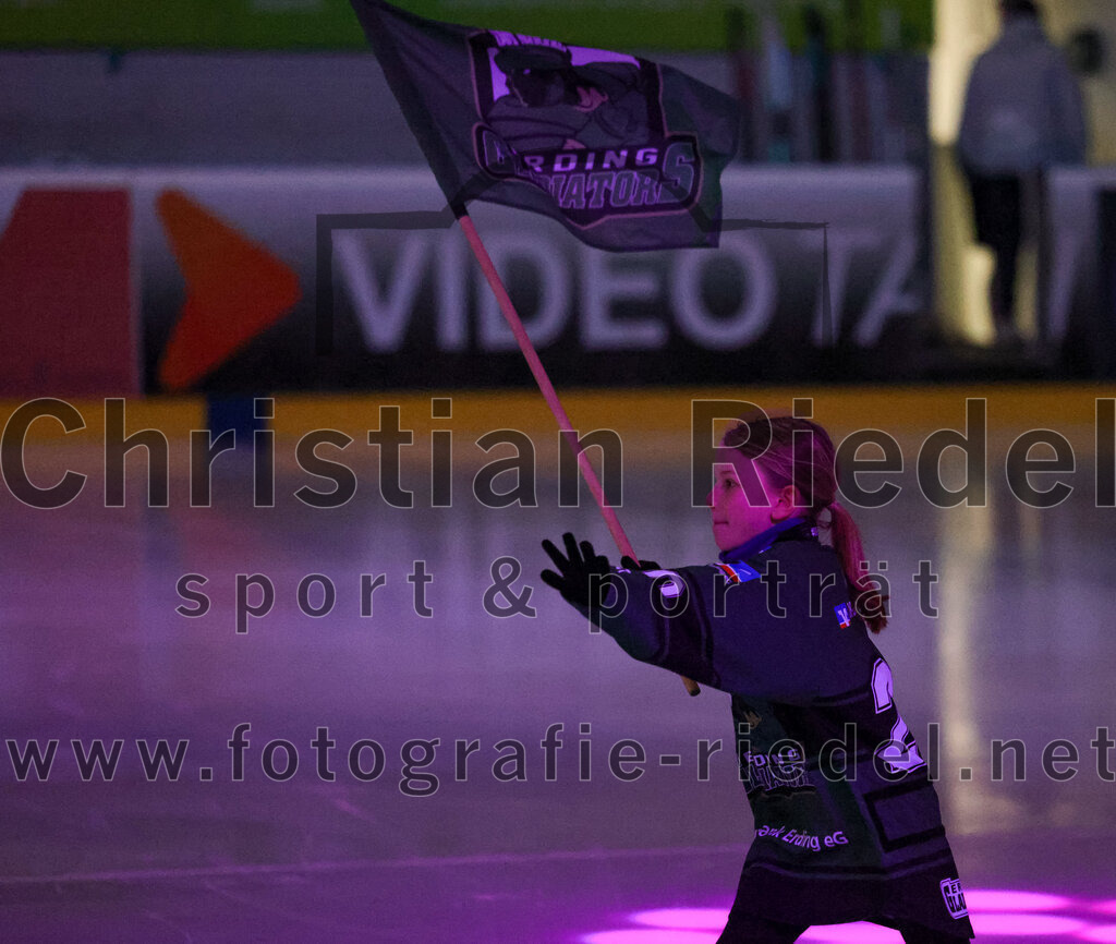 2026-02-20_032_TSV_Erding_gegen_Deggendorfer_SC | Erding, Deutschland, 20.02.2026:Eishockey, Oberliga Süd 2025 / 2026, 49. Spieltag, TSV Erding gegen Deggendorfer SC, Endergebnis: 4:1Foto: Christian Riedel / fotografie-riedel.net