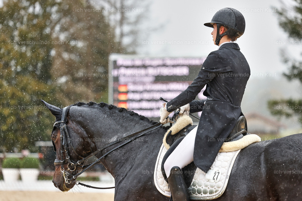 8_1-027-Klasse S_  -StoibPH-4015 | working equitationturnier fotograf videograf stoibphotography marixx film working equitation deutschland reitsport turnierfotografie eventfotografie equestrian events