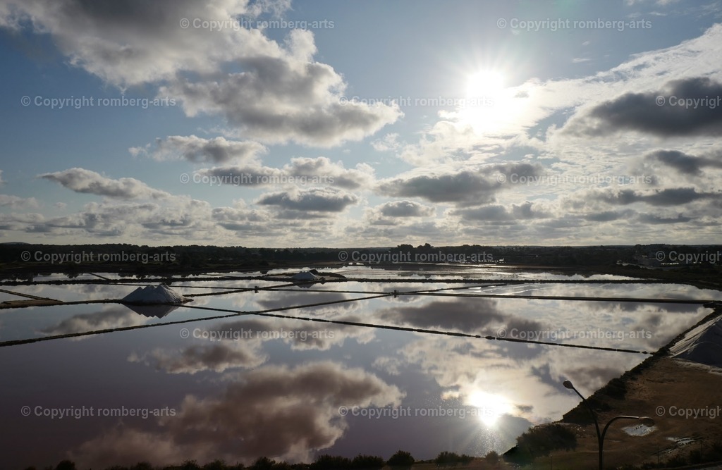 L1040660 | romberg-arts, romberg-arts.de, www.romberg-arts.de, Foto_Online_Shop, Julia Fuhrmann, Köln, Fotos, Fotografie, Fotokunst, Kunstdrucke, Naturfotos, Aktfotos, Nacktfotos, schwarz_weiß_Fotos, Blumenfotos, Blumen, Tiere, Beton, Korrosion, Lächeln, Drucke