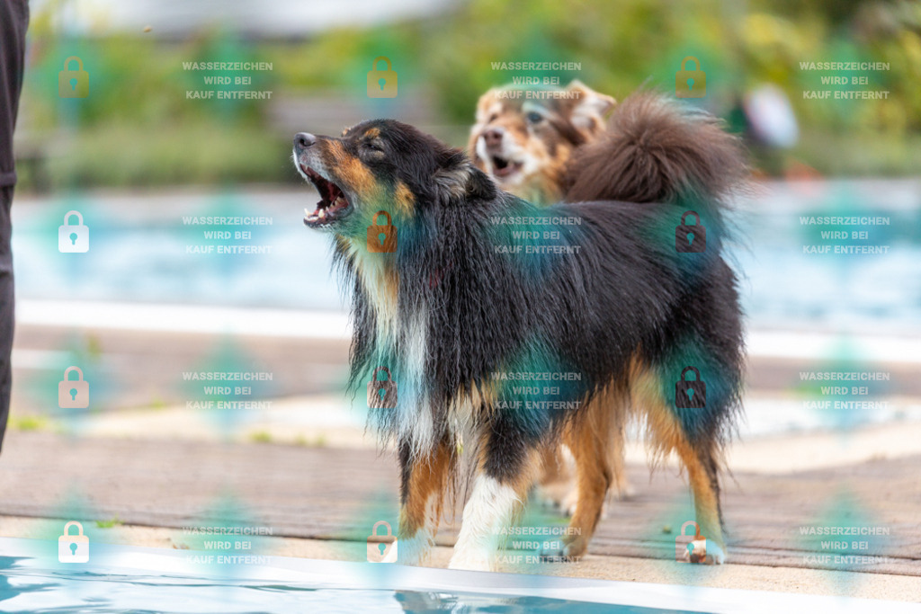 _HP_6053_1000o | HetPix, HetPix Fotodesign, Fotografie, Fotodesign, Webshop, Sportfotografie, Portraitfotografie, Onlineshop, Sportfotografie, Polch, Motorsportfotografie, Eventfotografie