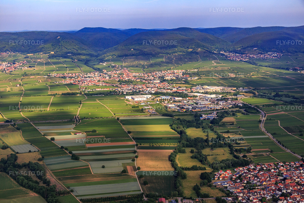 Luftbild: Stadtübersicht aus Osten in Edenkoben im Bundesland Rheinland-Pfalz in Deutschland. Foto: IMG_080938.jpg vom 14.06.2015 durch Werner Riehm/FLY-FOTO.de