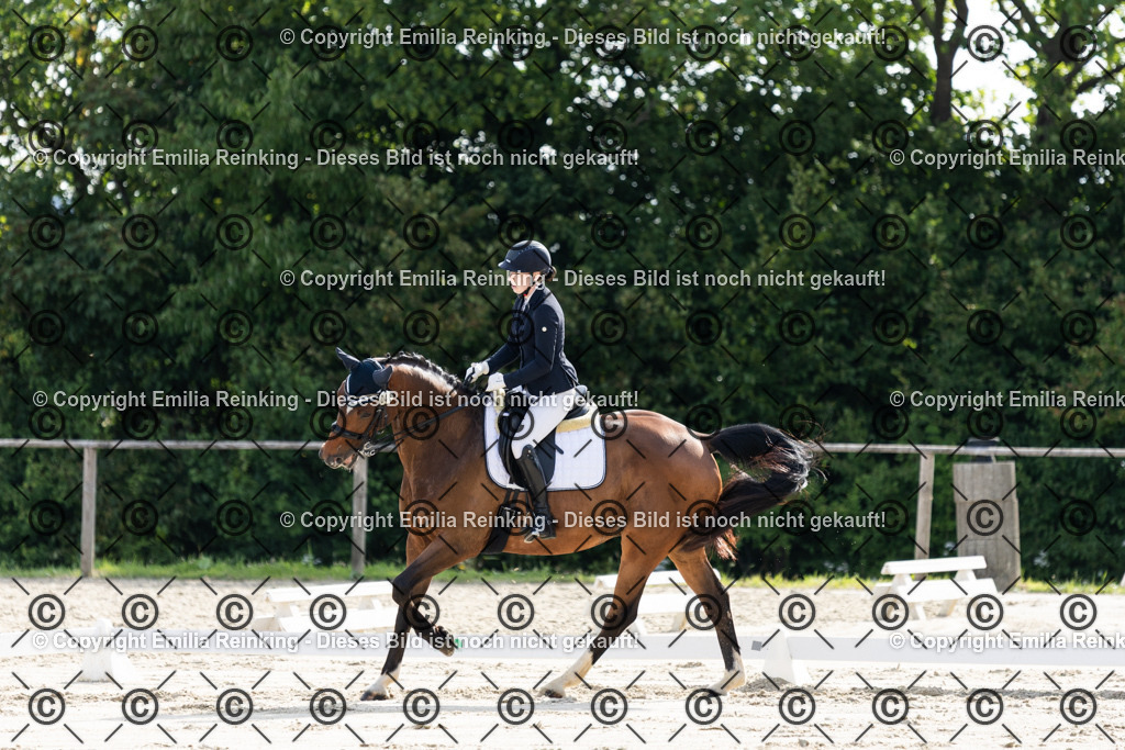 CL5A5607 | Emilia Reinking Fotografie - Realisiert mit Pictrs.com