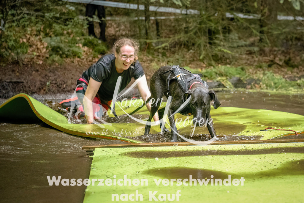 1453_ZZ94115-Bearbeitet | kk-dogfotos