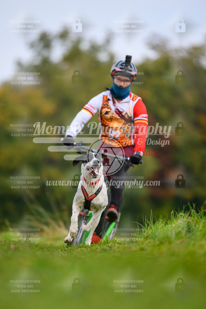 MompixPhotography_CDLBDB2025_DI_DS-60 | PayLife