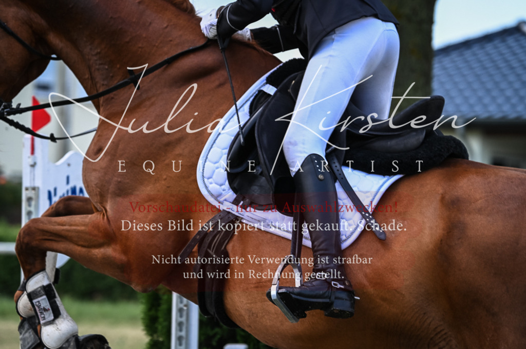 DSC_8456 | Pferde- und Turnierfotografie in Westsachsen. Pferdeportraits, Auftragszeichnungen und intuitive Kunst.