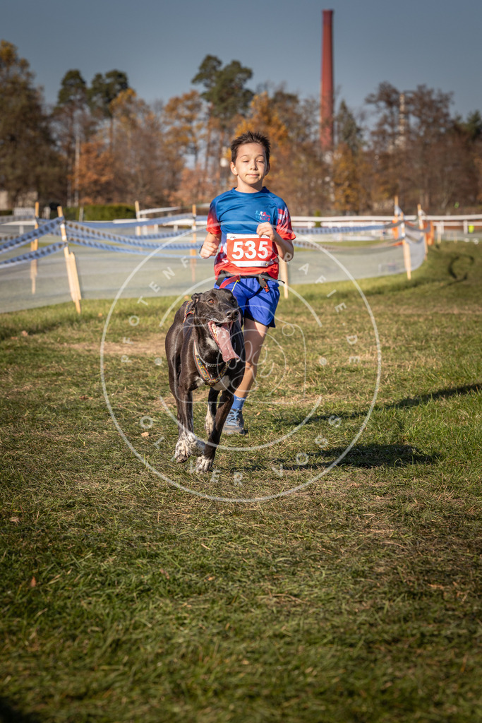 CaniXpix_0L8A7432 | Hundefotografie, Tierfotograf, Pfotenfotografie, Fotoshooting Hund, Hunde Portrait, Hundesport, Hundeportraits, Heideshooting, Hunde, Sportfotograf, Hundefotograf, Turnierhundsport, THS,  - Realisiert mit Pictrs.com