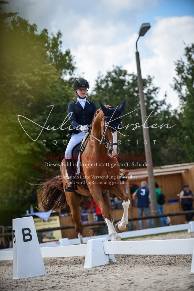 DSC_9384 | Pferde- und Turnierfotografie in Westsachsen. Pferdeportraits, Auftragszeichnungen und intuitive Kunst.