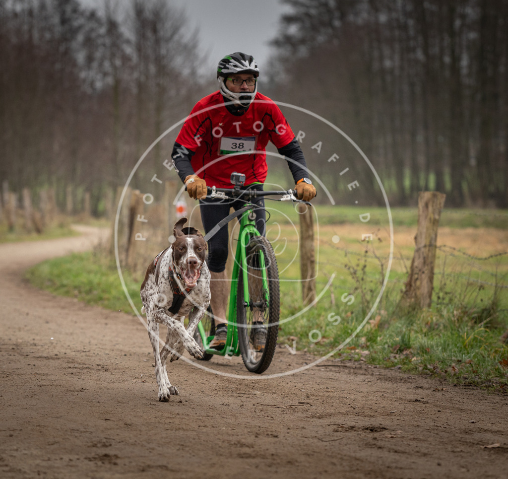 Pfotenfotografie_DV3A2540 | Hundefotografie, Tierfotograf, Pfotenfotografie, Fotoshooting Hund, Hunde Portrait, Hundesport, Hundeportraits, Heideshooting, Hunde, Sportfotograf, Hundefotograf, Turnierhundsport, THS,  - Realisiert mit Pictrs.com