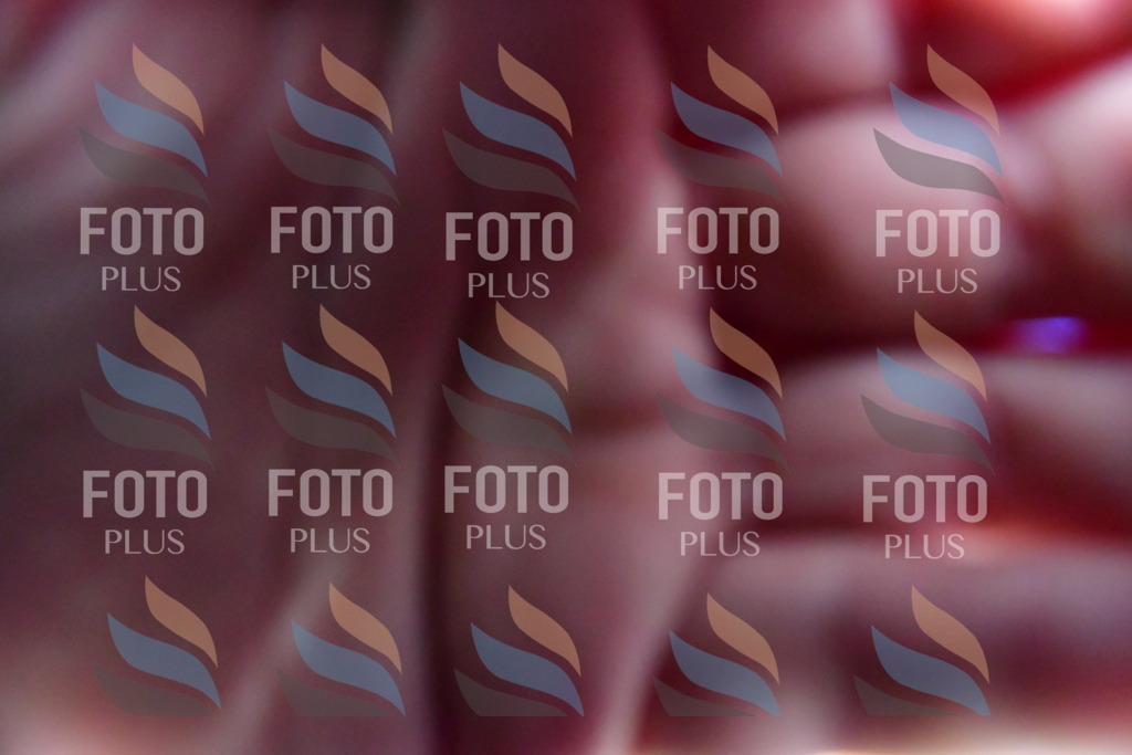 _DSC4306 | holidayphoto