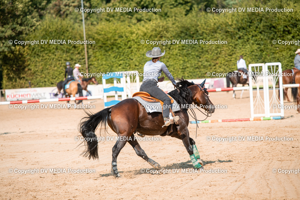 ZS2_8786 | dv-media-shop - Realisiert mit Pictrs.com