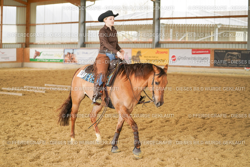 DSC04704 | Pferdegrafie