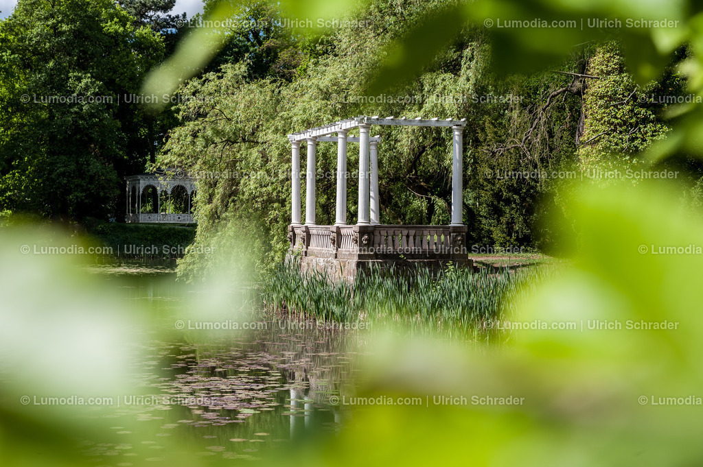 10049-1636 - Stadtpark Tangerhütte | Stockfoto und Bilderpool mit Bildmaterial aus Deutschland, dem Harz, Halberstadt, Quedlinburg, Wernigerode und weltweit. Qualitativ hochwertige und professionelle Fotos anschauen und kaufen. - Realisiert mit Pictrs.com