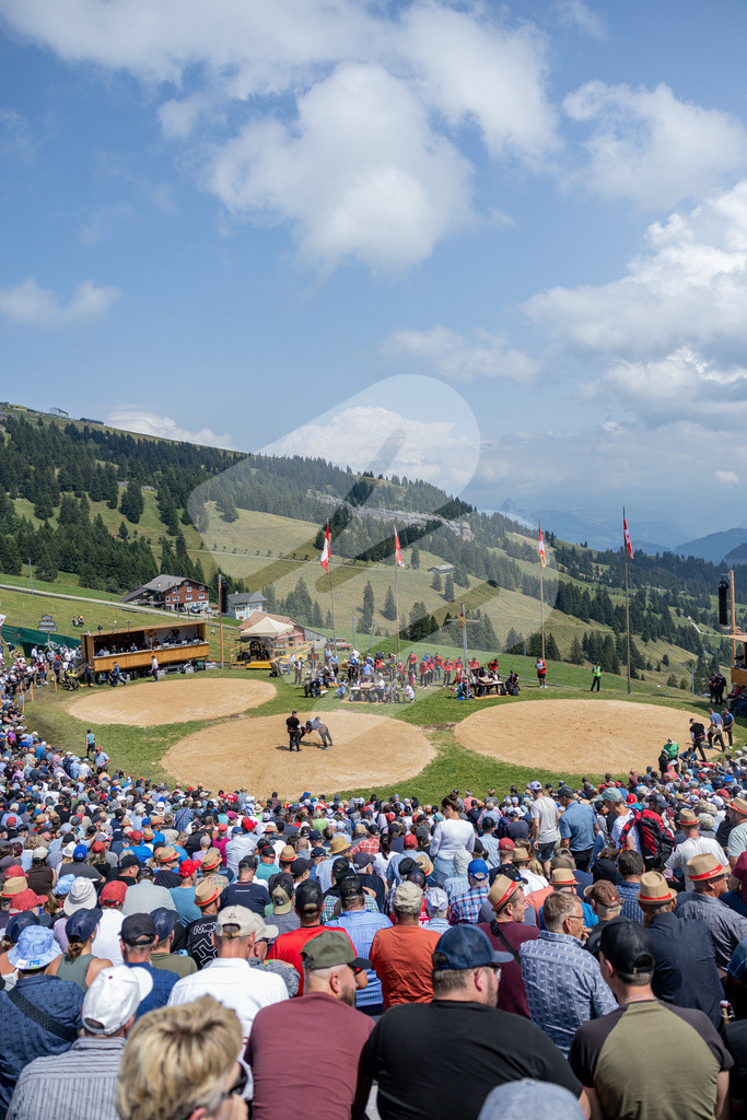 Rigi2026_5G_00030 | Arena - Realisiert mit Pictrs.com