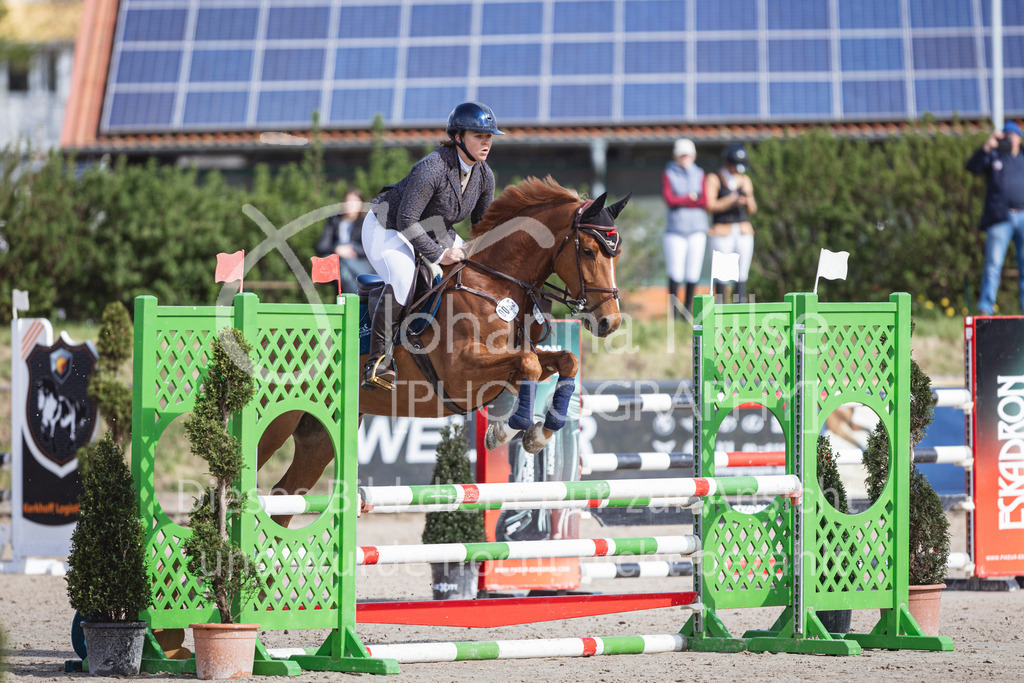 250419_Frühlingsfest_A-Stil1-405 | Deine schönsten Turniermomente als professionelle Fotos! Entdecke hochwertige Pferdesport-Fotografie im Online-Shop. Jetzt Fotos finden & bestellen!