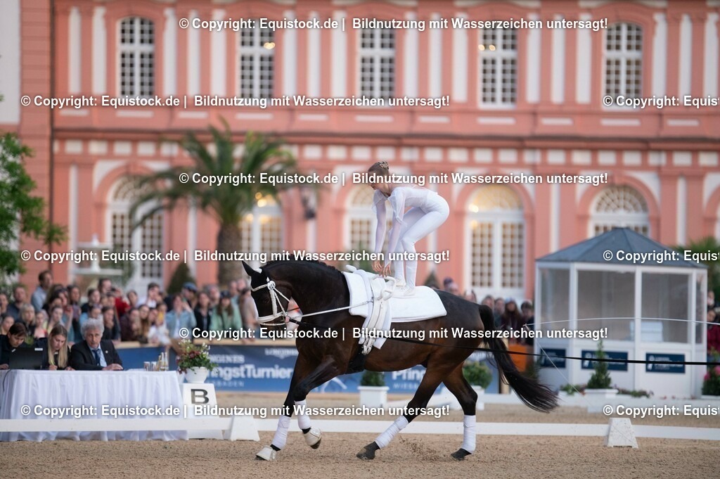 20230527_Voltigieren_NASPA_Flutlicht_0174 | equistock