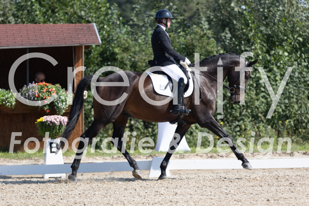 IMG_5140 | Creatify Fotografie