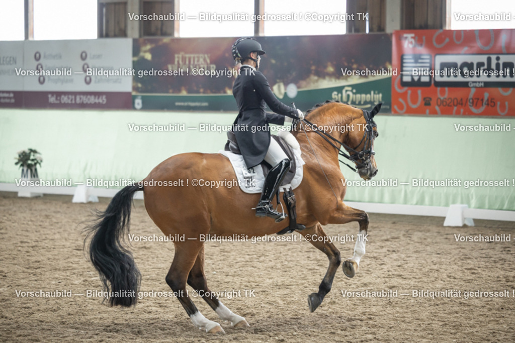 _D5A5952 | Emotionale Pferde- & People-Fotografie rund um Heidelberg, Leimen & Umgebung. Natürliche Fotos von Pferd, Mensch & Familie. Jetzt Termin sichern!