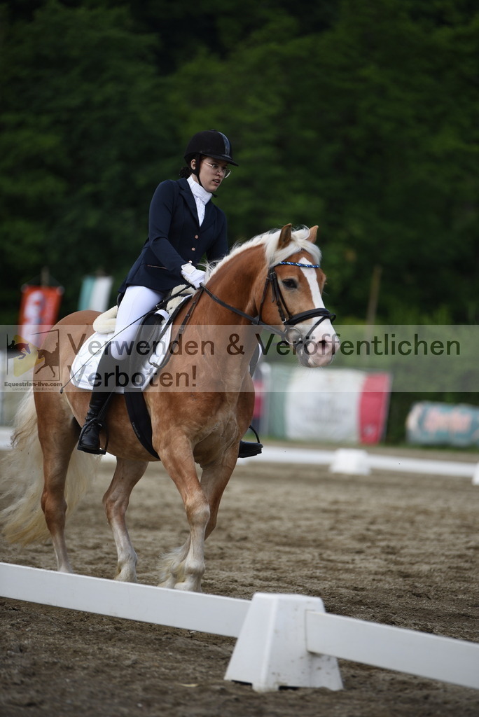 DSC_8691 | equestrian-live-com