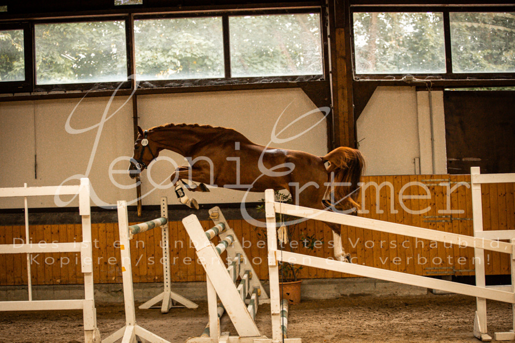 2FS_L00100 | Leoni Ertmer Photography - Realisiert mit Pictrs.com