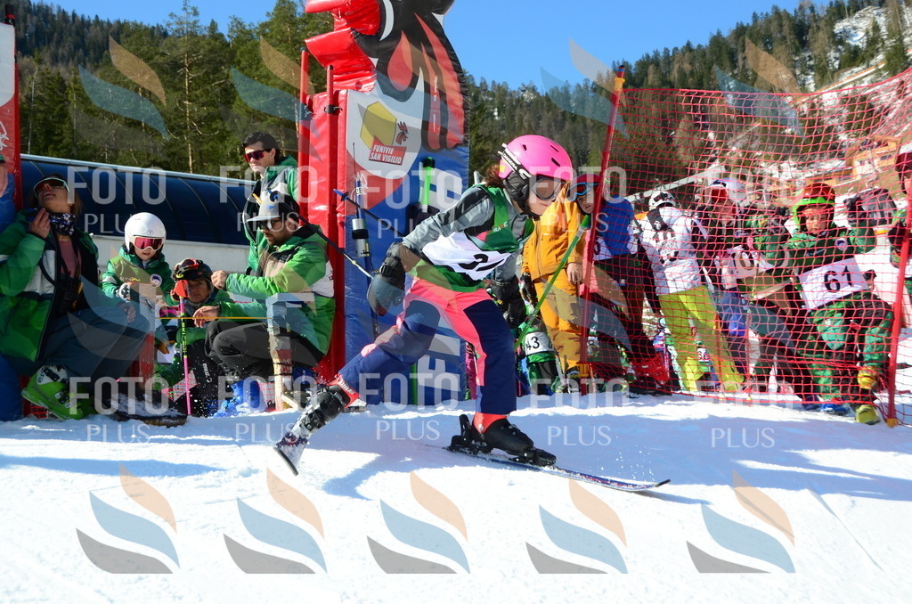 C4946 | holidayphoto