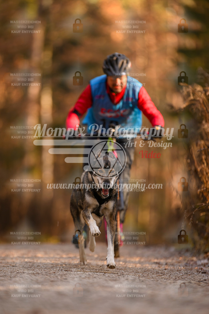 MompixPhotography_DM_AKDM_SO_2025_Scooter-214 | PayLife
