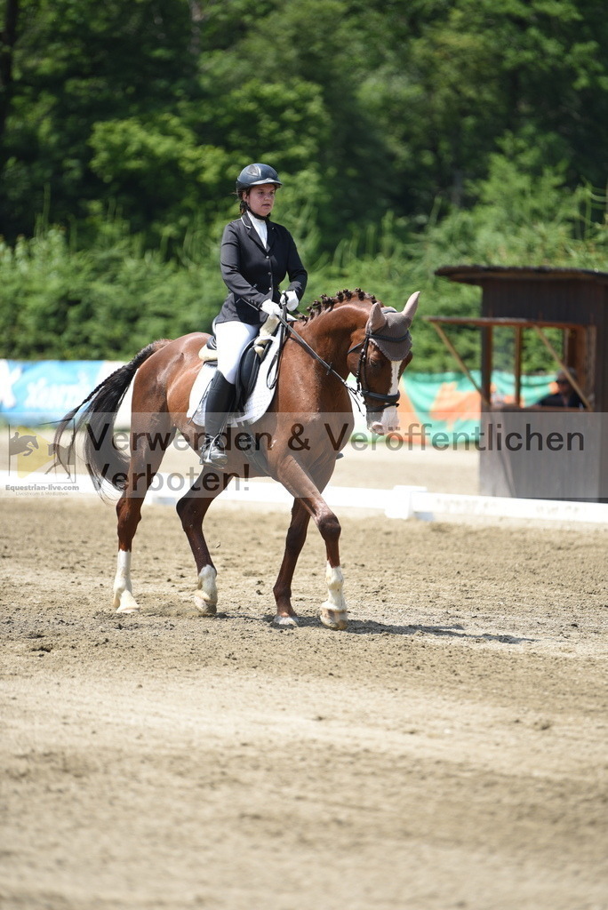 DSC_0011 | equestrian-live-com