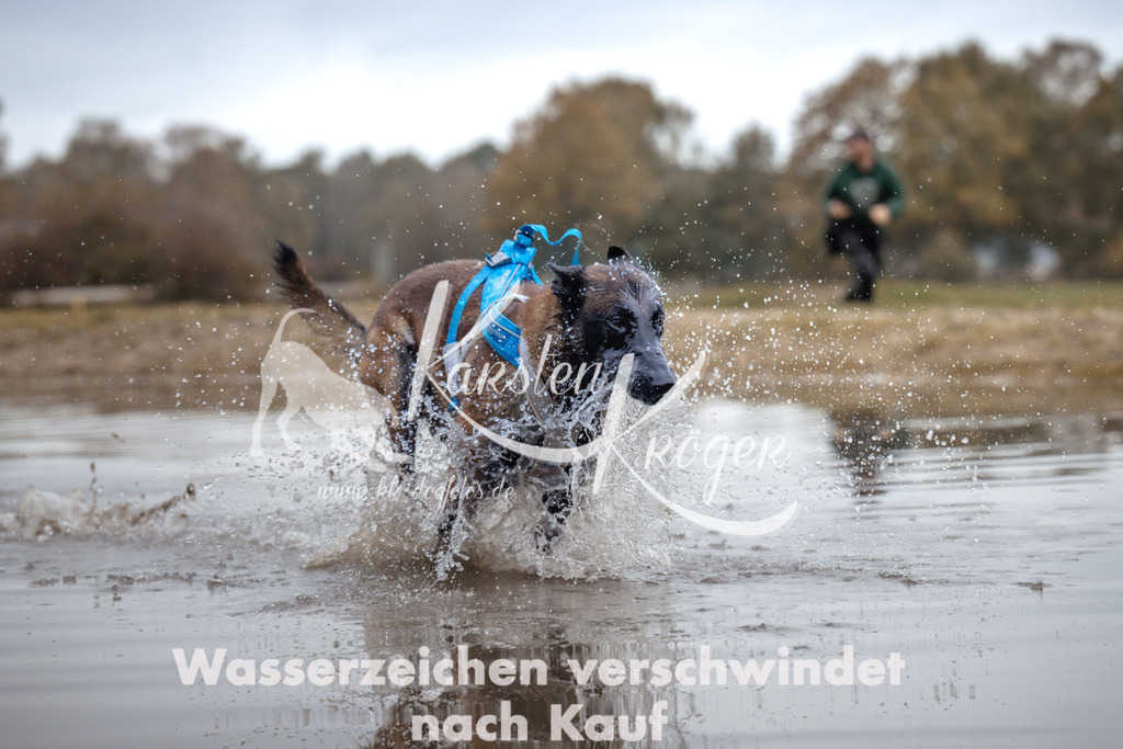 1358_ZZ95064 | kk-dogfotos