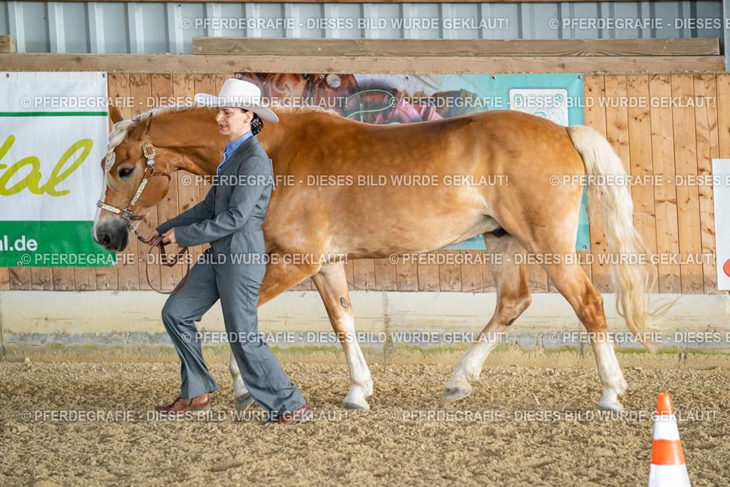 DSC07567 | Pferdegrafie