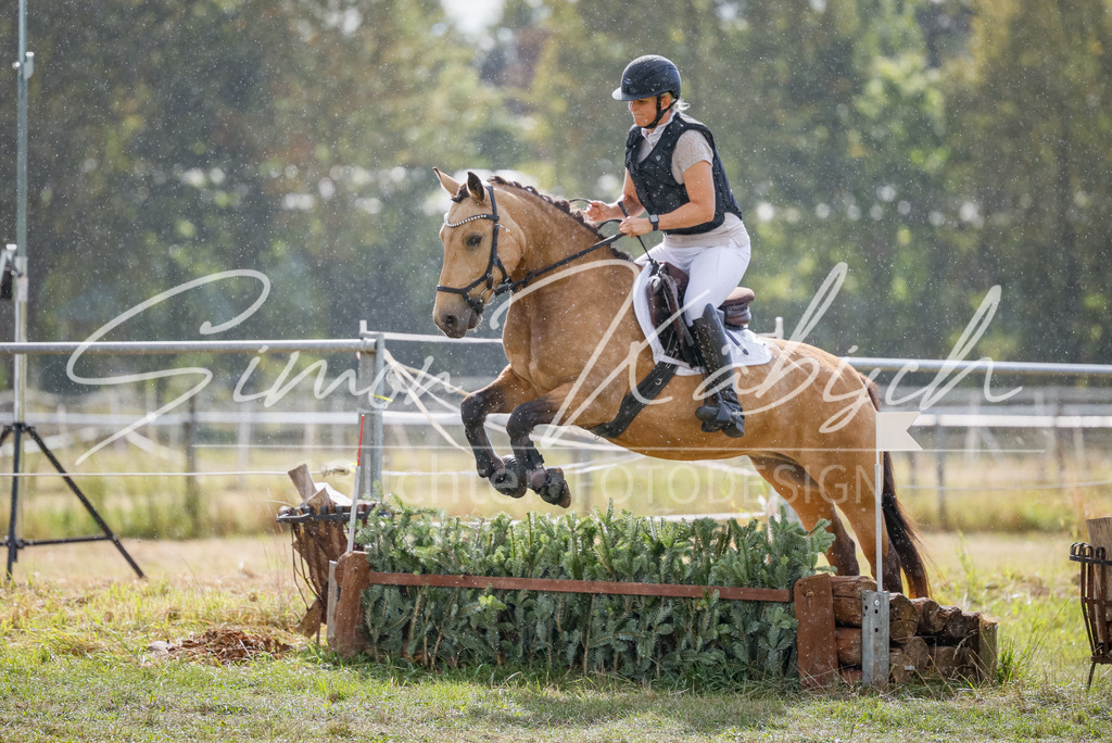 20250905-_3LI0870 | Tierfotografie Pferde, Hunde, Katzen, Haustiere.
Turnierfotografie Reitturniere, Reiten, Springreiten, Dressur in Hanau, dem Main-Kinzig-Kreis und dem Rhein-Main- Gebiet um Frankfurt