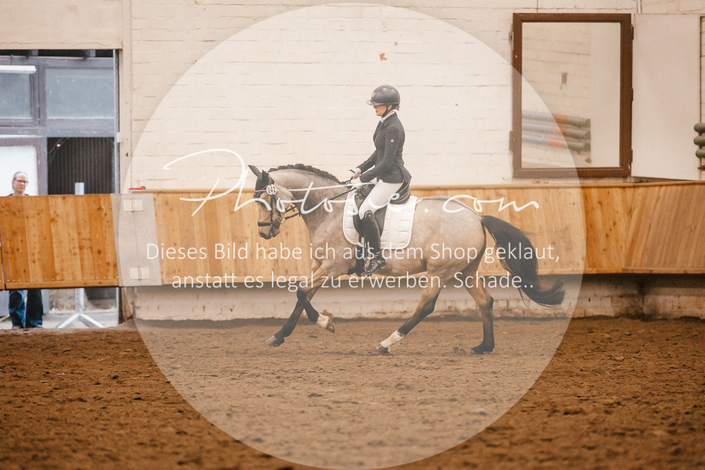 3I6A4439 | Stimmungsvolle Portraits und Reitsportfotografie im Ruhrgebiet und im Münsterland.

Pferdefotografie, Hundefotografie, Tierfotografie, Reportagen, Portraits von Tier und Mensch, Turnierfotografie in Bochum, Recklinghausen, Marl, Haltern am See, Dülmen.. - Realisiert mit Pictrs.com