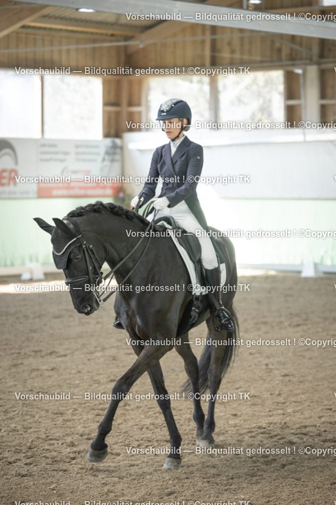 _D5A1132 | Emotionale Pferde- & People-Fotografie rund um Heidelberg, Leimen & Umgebung. Natürliche Fotos von Pferd, Mensch & Familie. Jetzt Termin sichern!