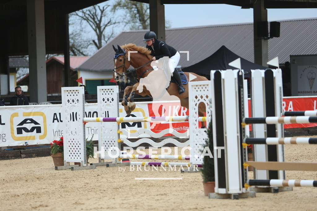 DL2Q7244 | Willkommen bei Brunnmayr - Design & Fotografie – Ihrem Spezialisten für Reitturniere und Pferdeveranstaltungen in Oberösterreich, Salzburg und Bayern! Seit über 17 Jahren sind wir leidenschaftlich dabei.