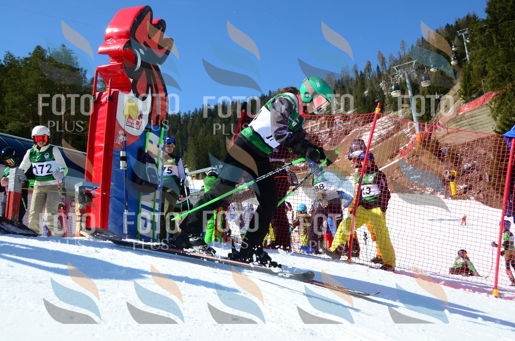 C6305 | holidayphoto